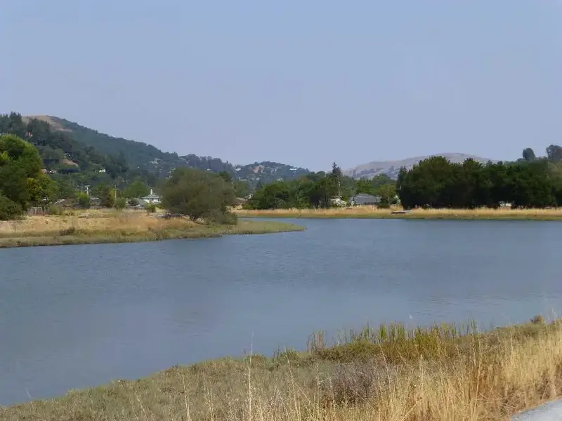 CM creek.webp
