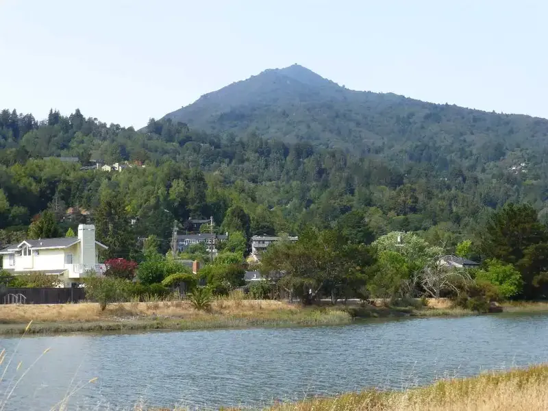 Tam, Corte Madera Creek.webp
