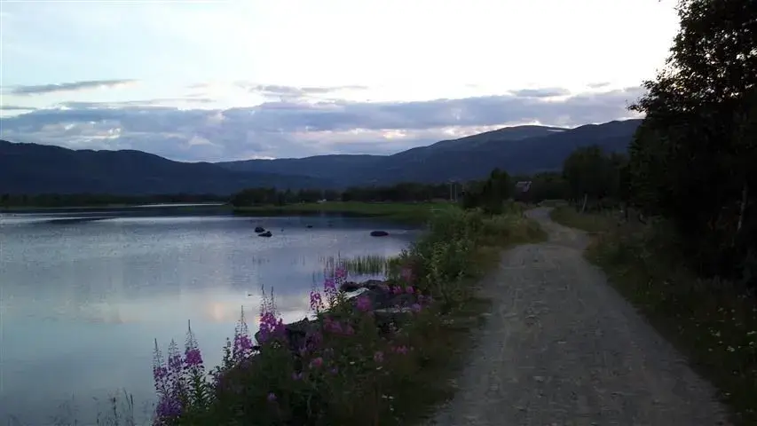the lake trail.webp