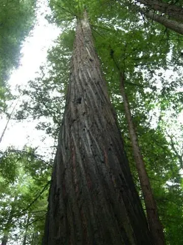 DSCN3468.webp