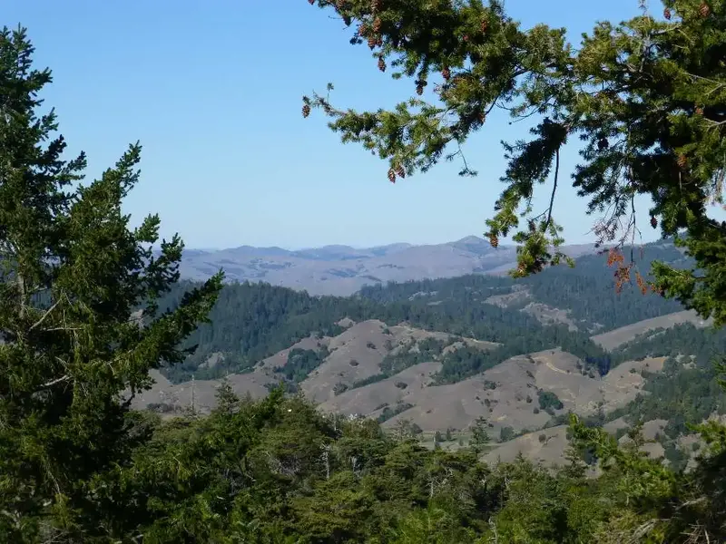 Above Woodacre.webp