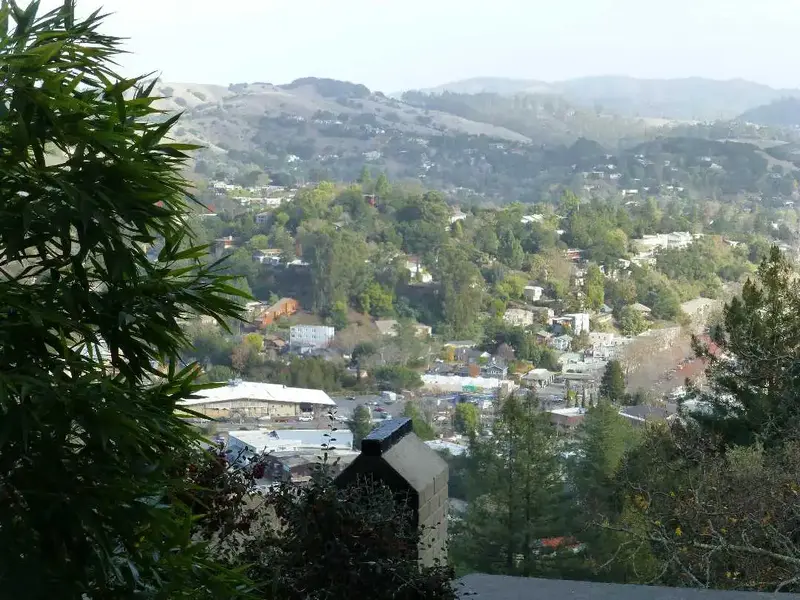 Above Fairfax.webp