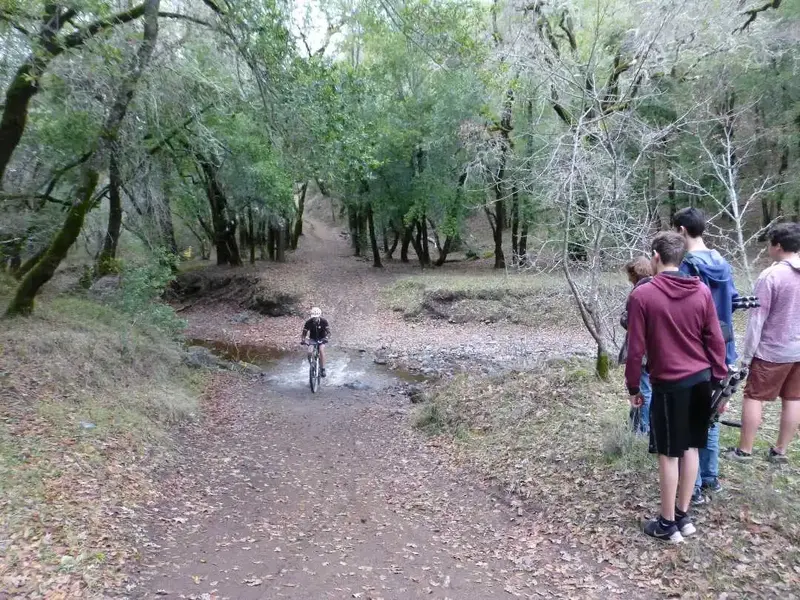 Creek crossing.webp