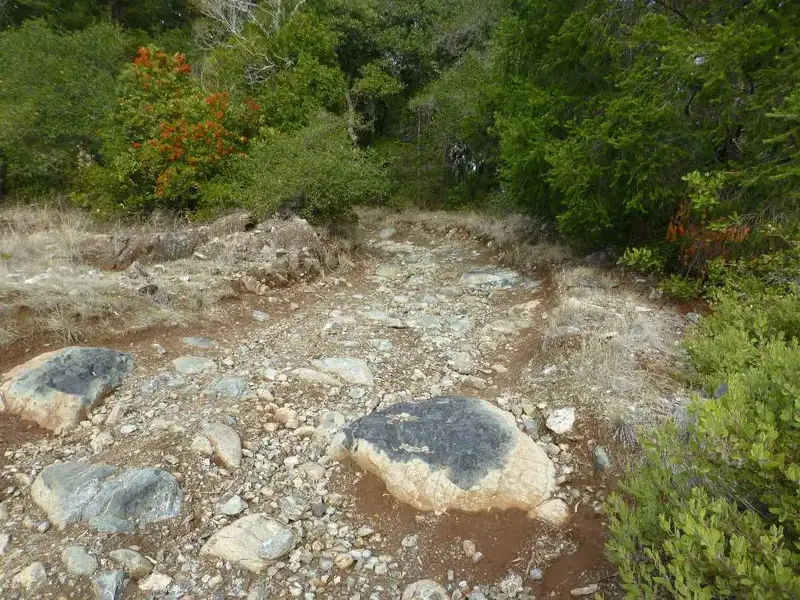 Steep and Sketchy.webp