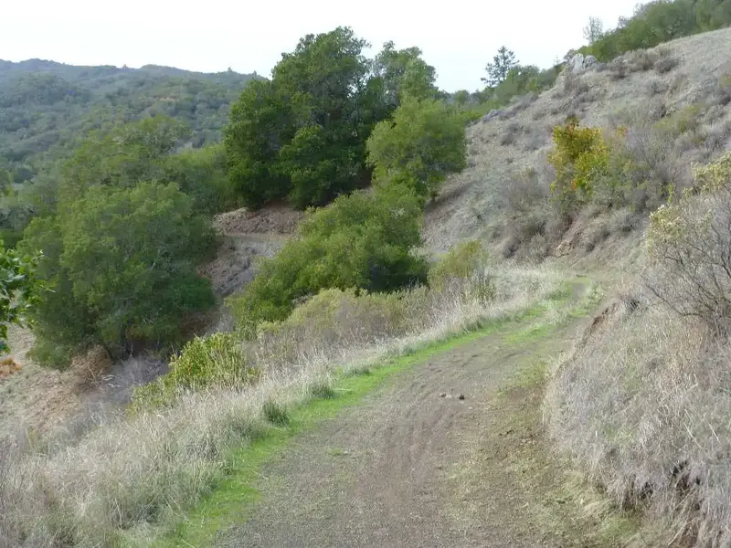 Descending.webp