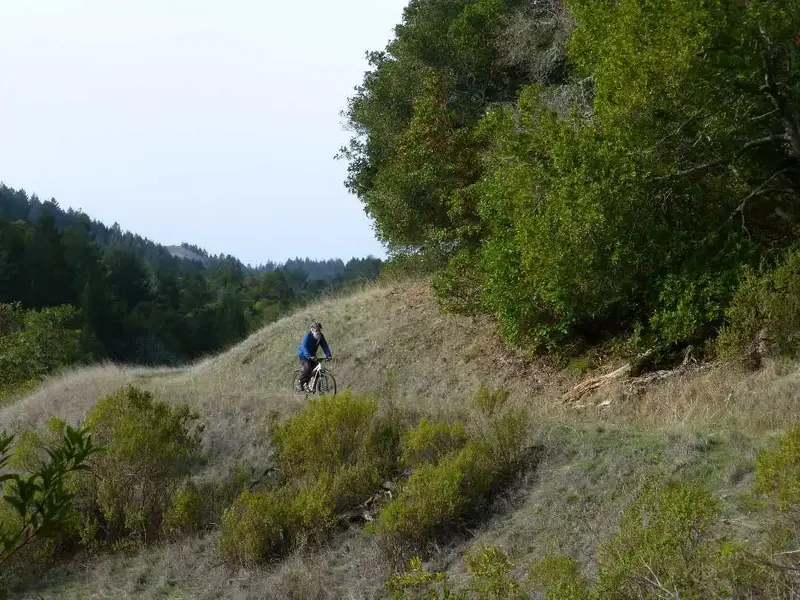 Heading for the drop.webp