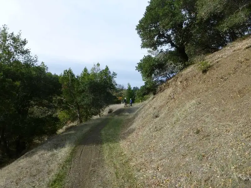 At the Top.webp