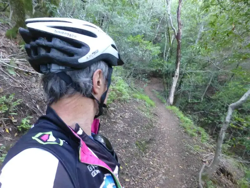 Today's trail.webp
