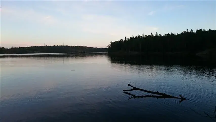 deserted lake.webp