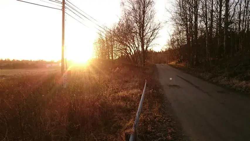 deserted road.webp