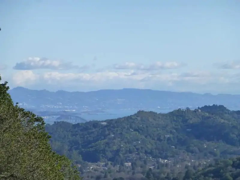 SF Bay.webp