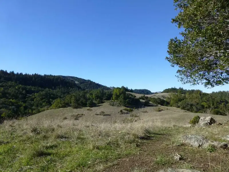 Tamarancho.webp
