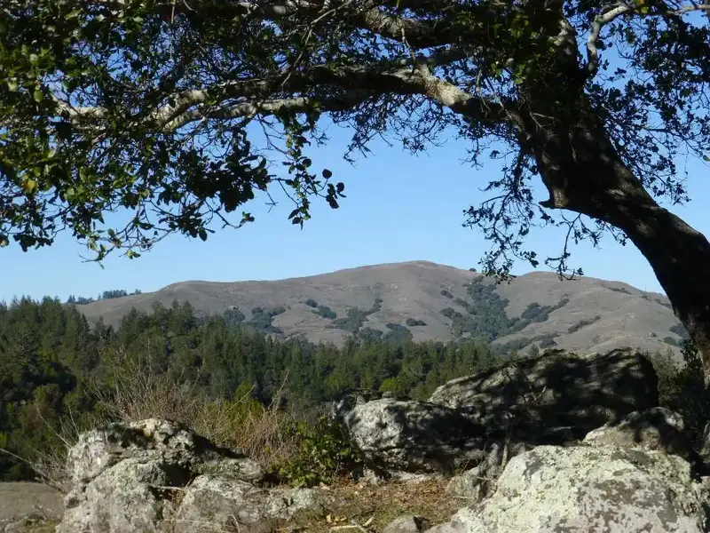 Loma Alta 1592'.webp