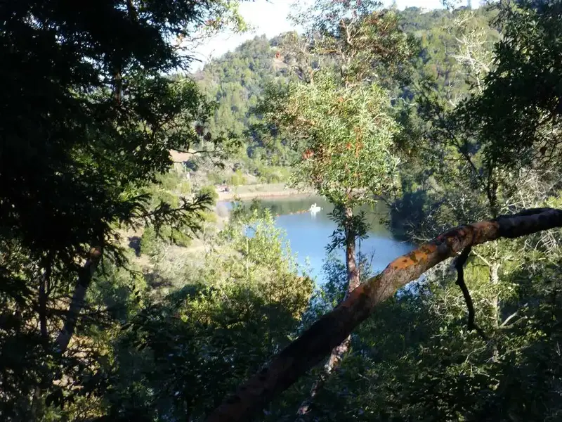 Phoenix Lake.webp
