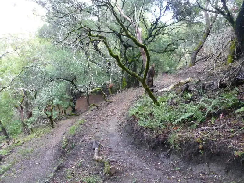 In the hills.webp