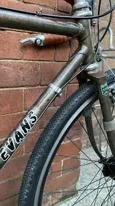 evans810.webp