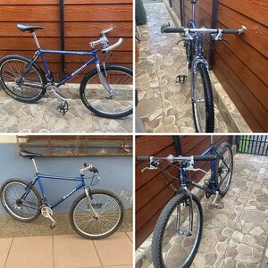 Bianchi alpina