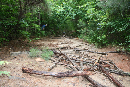 closing-trail.jpg