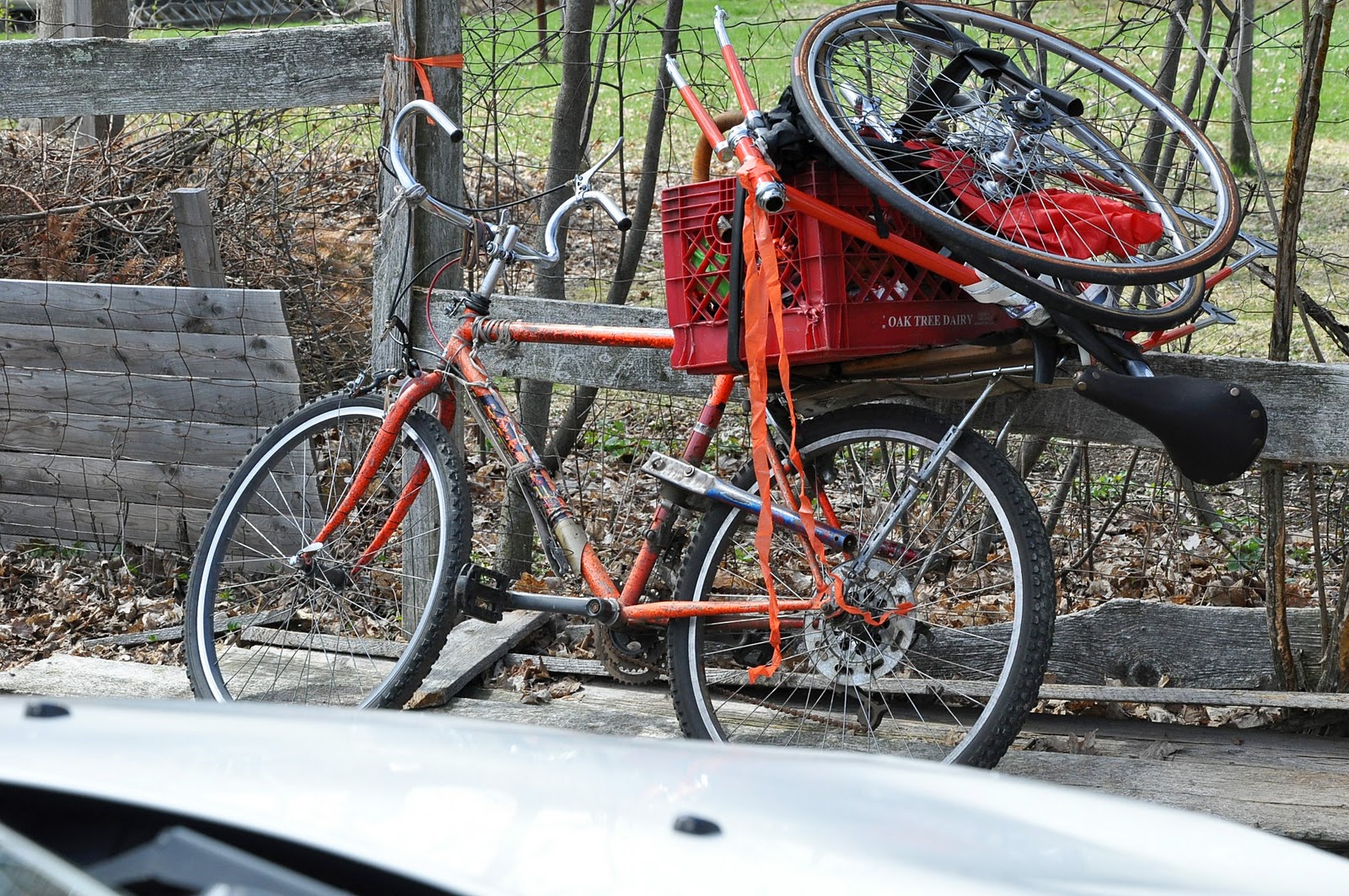 DSC_0146.JPG